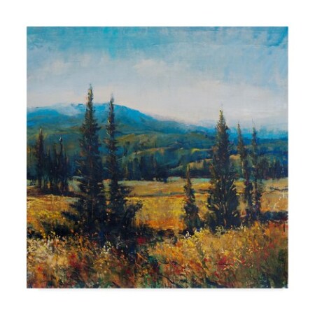Tim Otoole 'Pacific Northwest Ii' Canvas Art,24x24